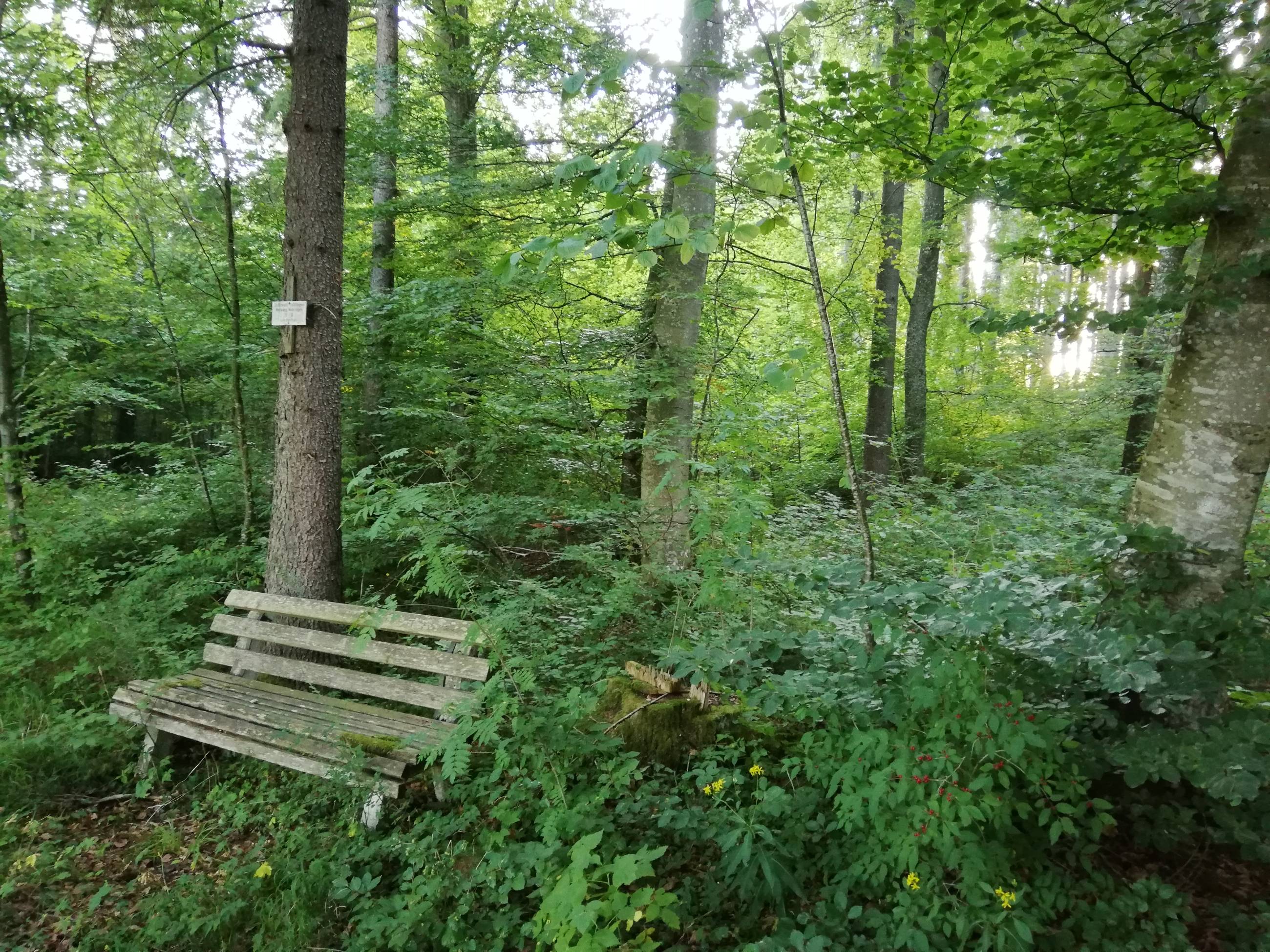 Seminarhaus Ansicht 4